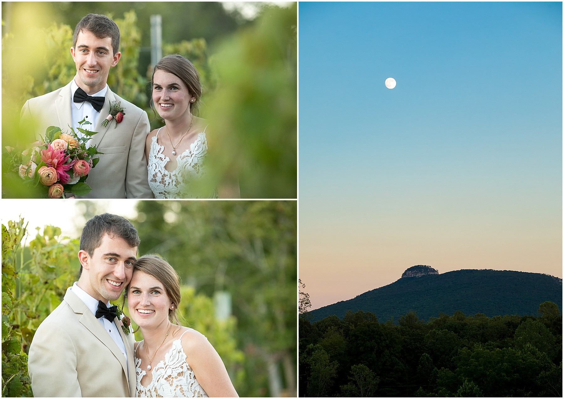 JoLo Winery Wedding Bride and Groom